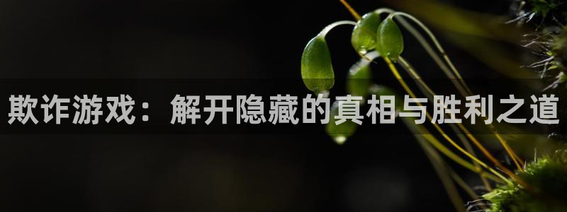 女神漫画在线版免费阅读