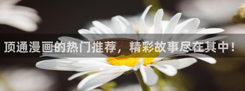 手机女神漫画